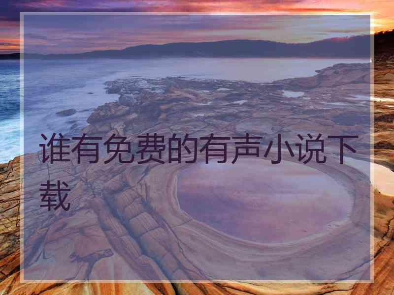 谁有免费的有声小说下载