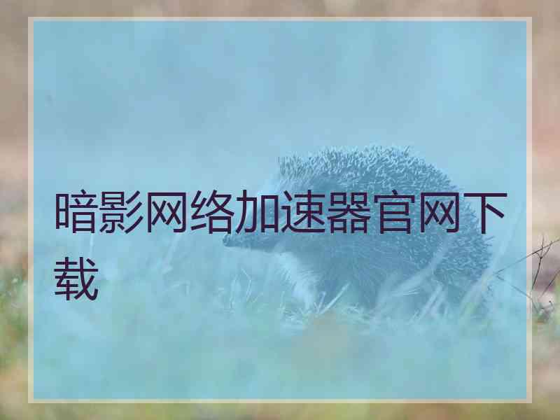 暗影网络加速器官网下载