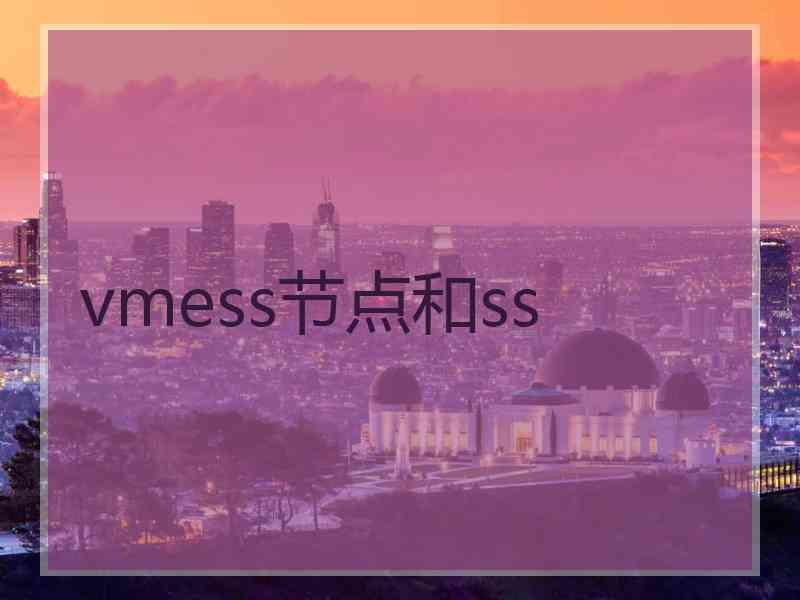 vmess节点和ss
