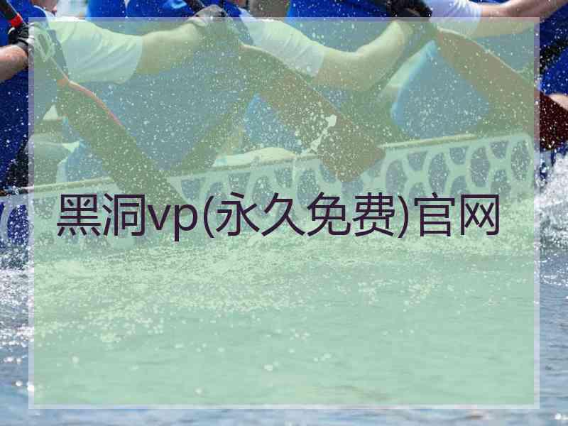 黑洞vp(永久免费)官网