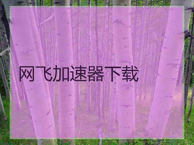 网飞加速器下载