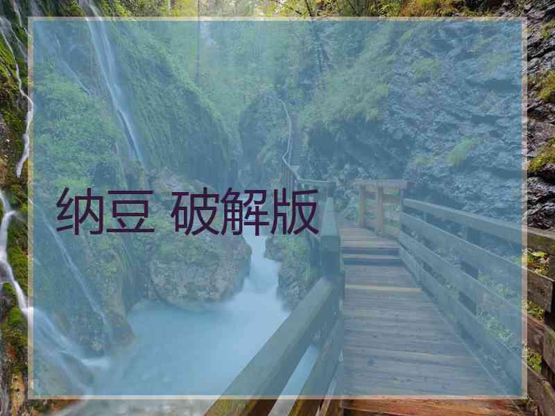 纳豆 破解版