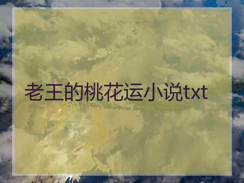 老王的桃花运小说txt