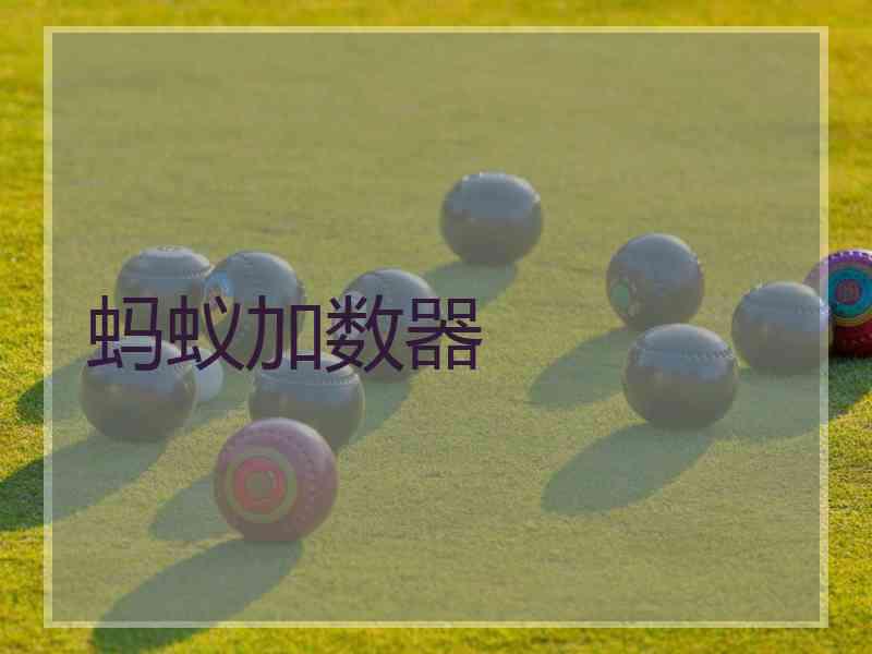 蚂蚁加数器