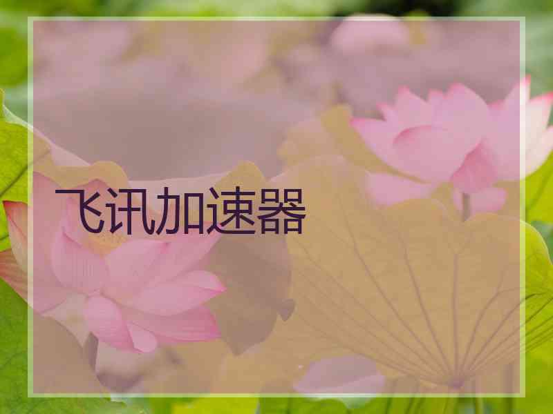 飞讯加速器