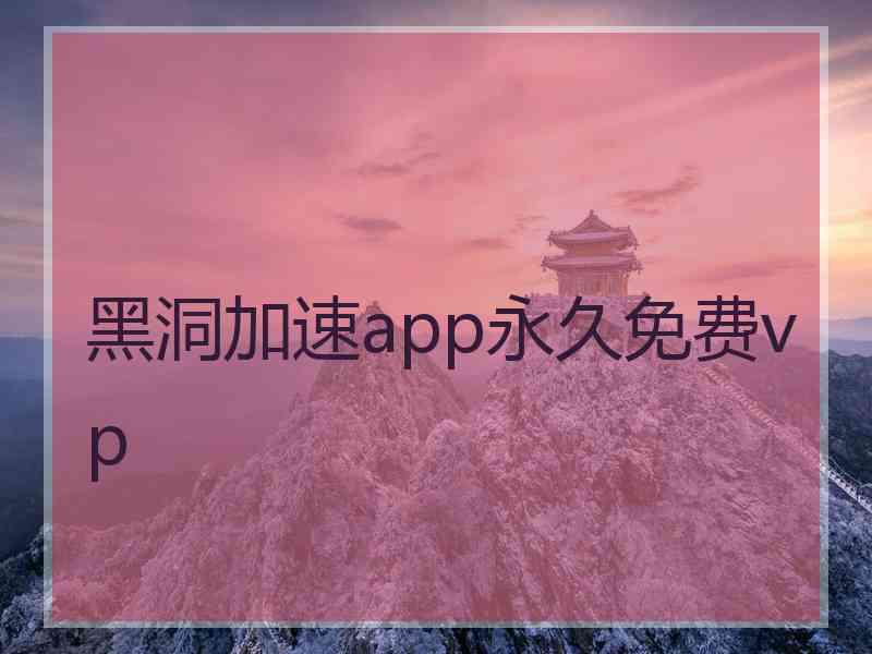 黑洞加速app永久免费vp