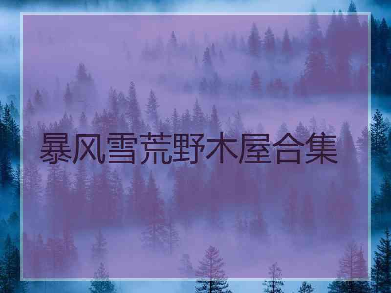 暴风雪荒野木屋合集