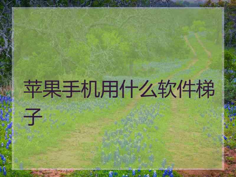 苹果手机用什么软件梯子