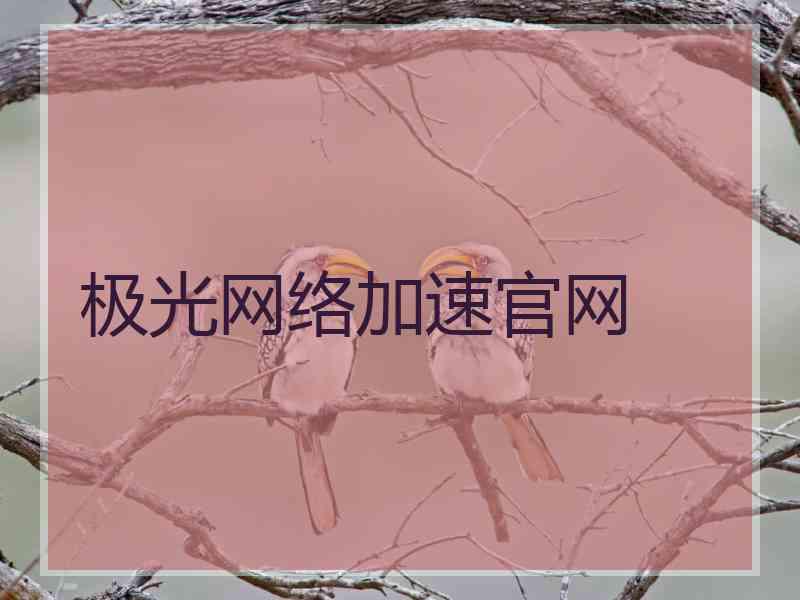 极光网络加速官网