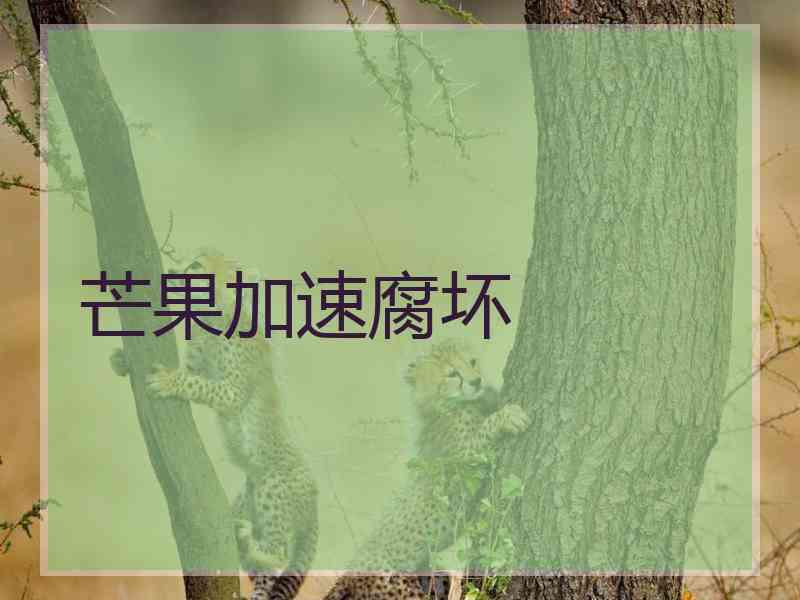 芒果加速腐坏