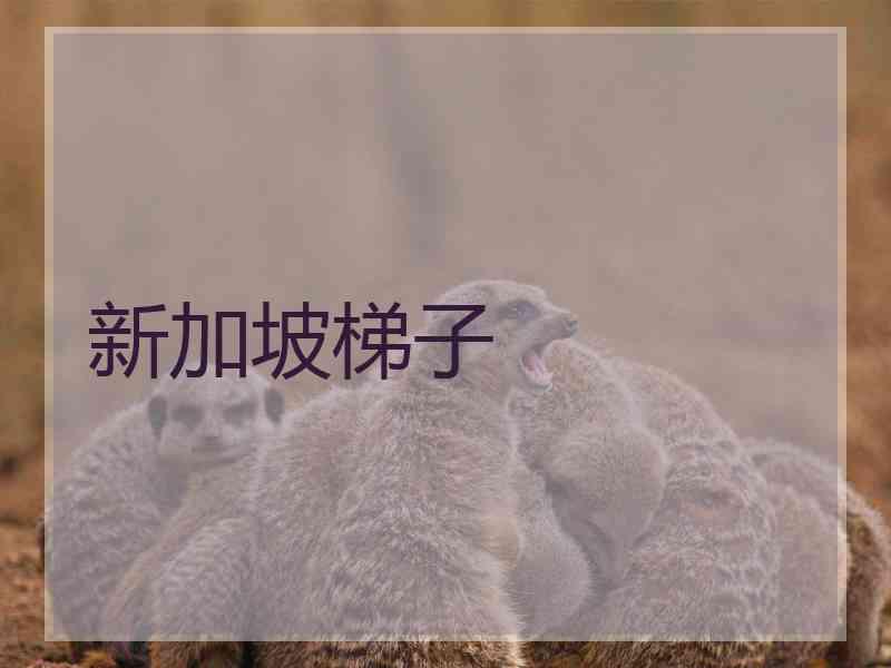 新加坡梯子