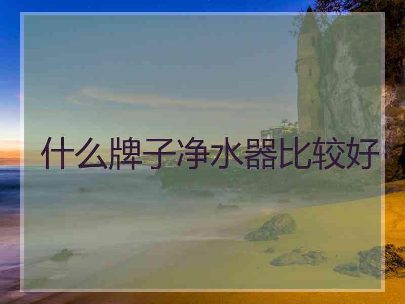 什么牌子净水器比较好