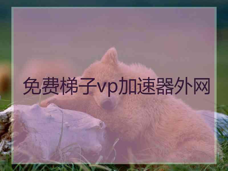 免费梯子vp加速器外网