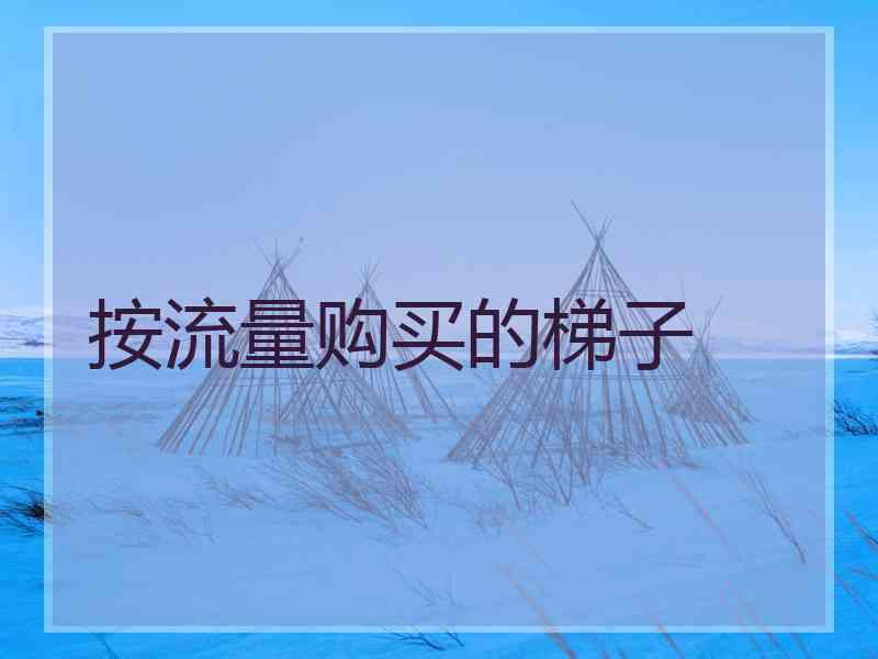 按流量购买的梯子