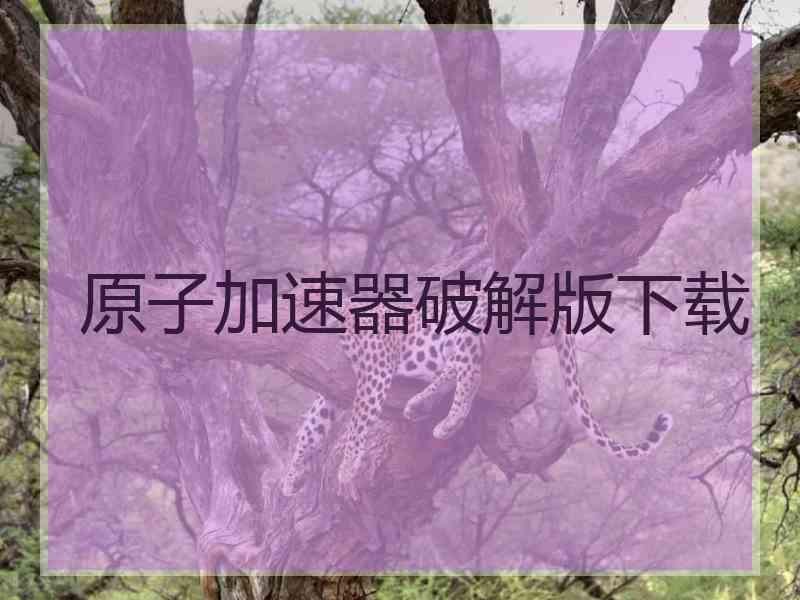 原子加速器破解版下载