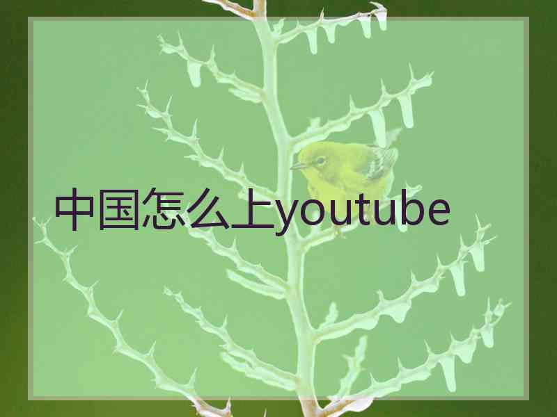 中国怎么上youtube