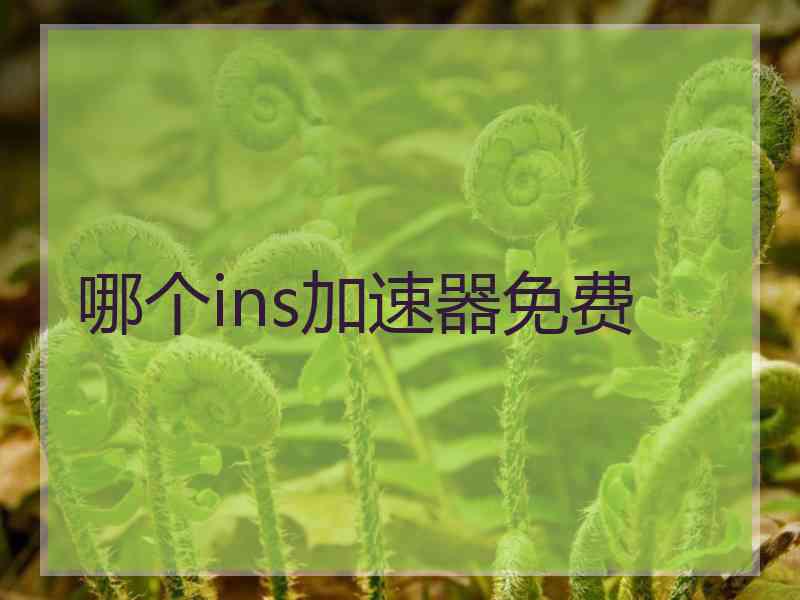 哪个ins加速器免费