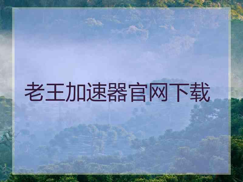 老王加速器官网下载