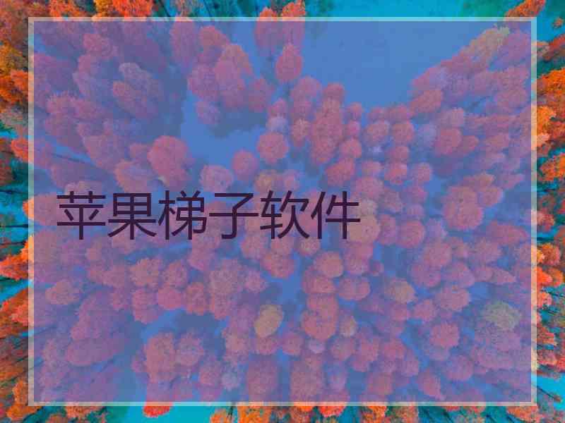 苹果梯子软件