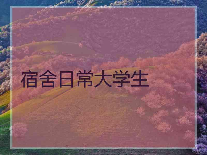 宿舍日常大学生