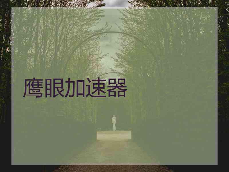 鹰眼加速器