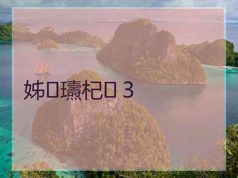 姊瓙杞３