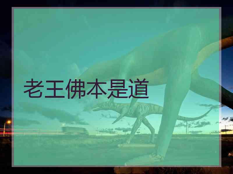 老王佛本是道