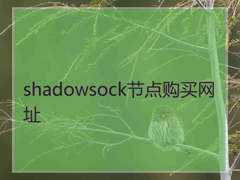 shadowsock节点购买网址