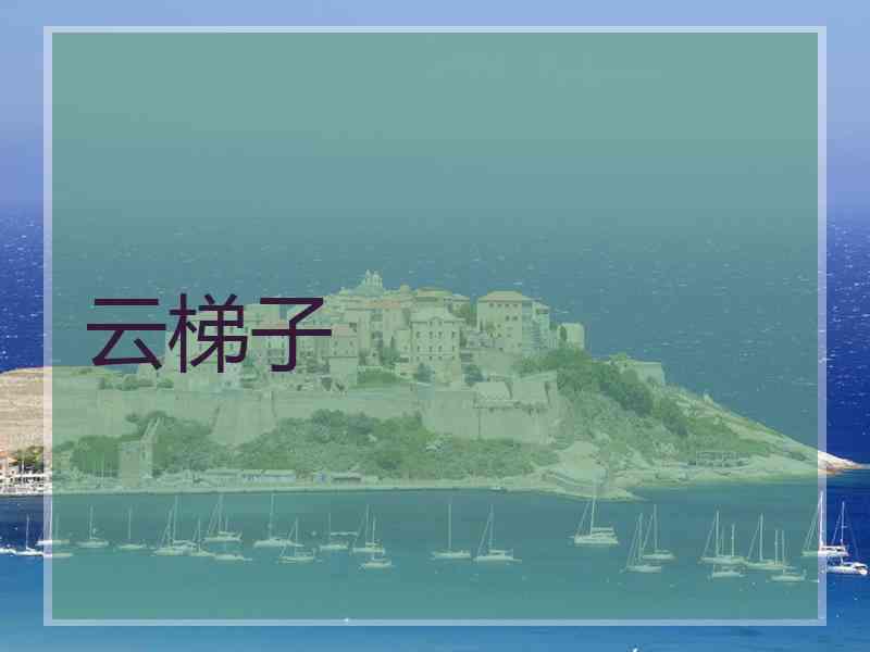 云梯子