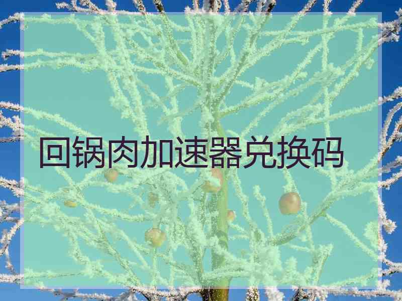 回锅肉加速器兑换码