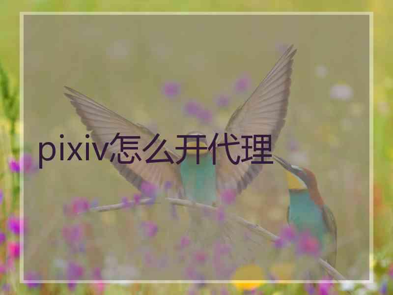 pixiv怎么开代理