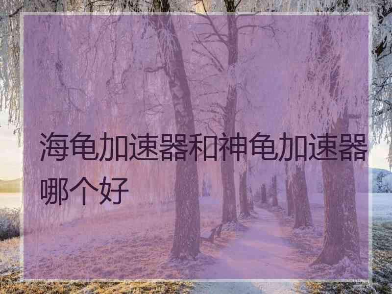 海龟加速器和神龟加速器哪个好