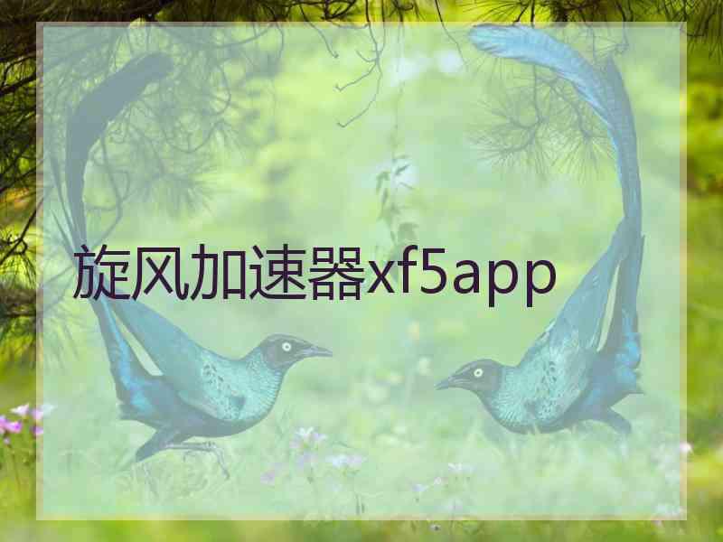 旋风加速器xf5app
