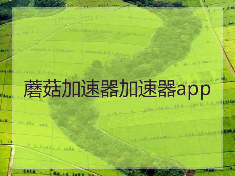 蘑菇加速器加速器app