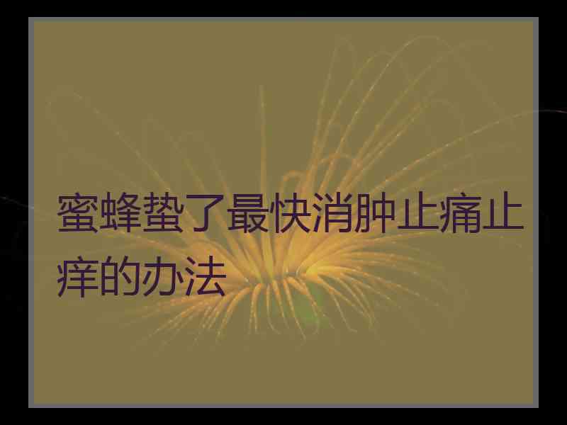 蜜蜂蛰了最快消肿止痛止痒的办法