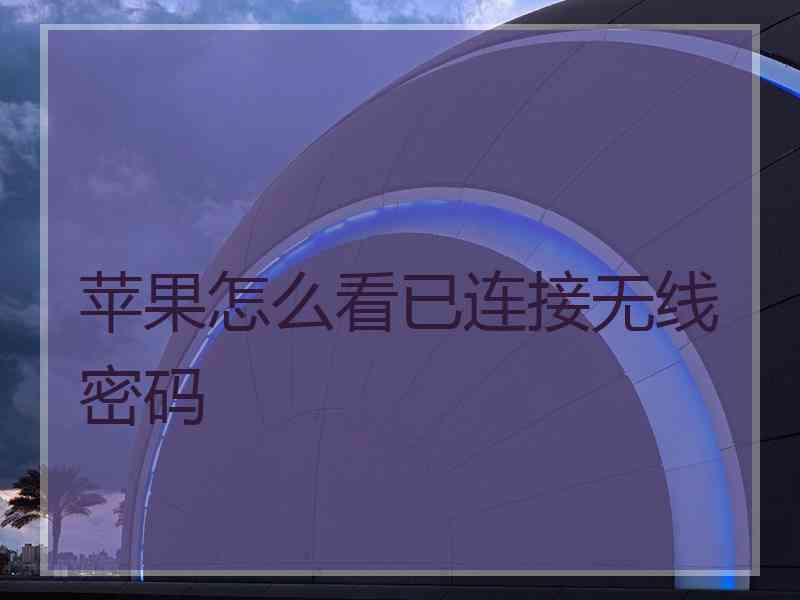 苹果怎么看已连接无线密码