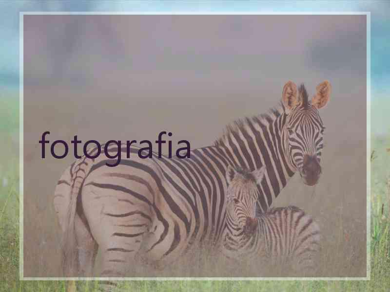 fotografia