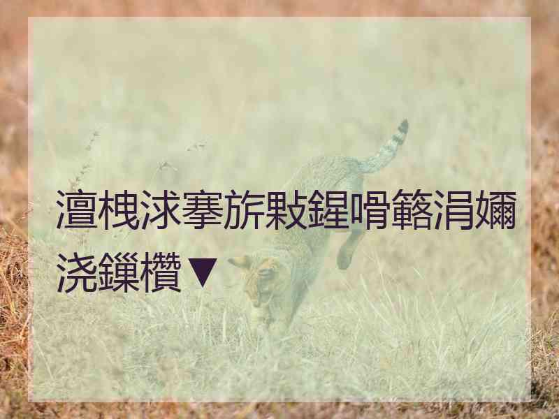 澶栧浗搴旂敤鍟嗗簵涓嬭浇鏁欑▼
