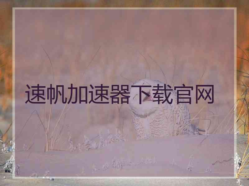 速帆加速器下载官网