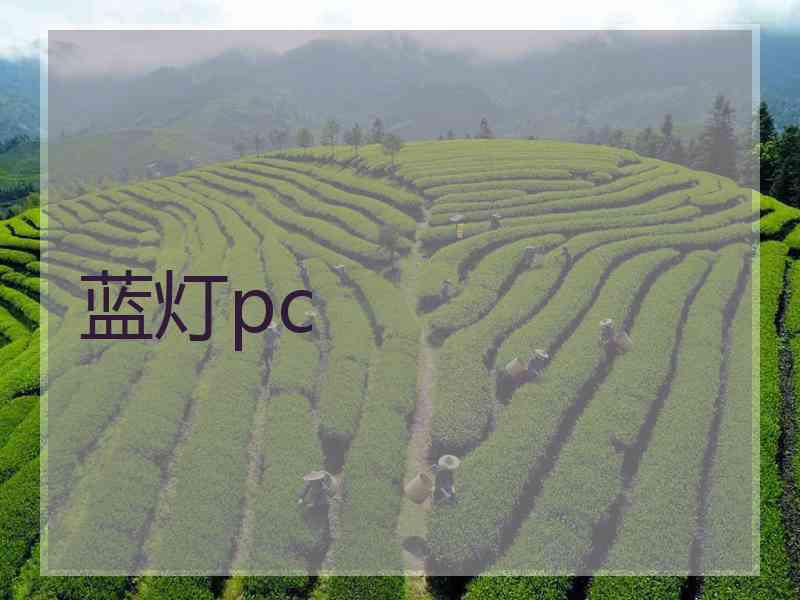 蓝灯pc
