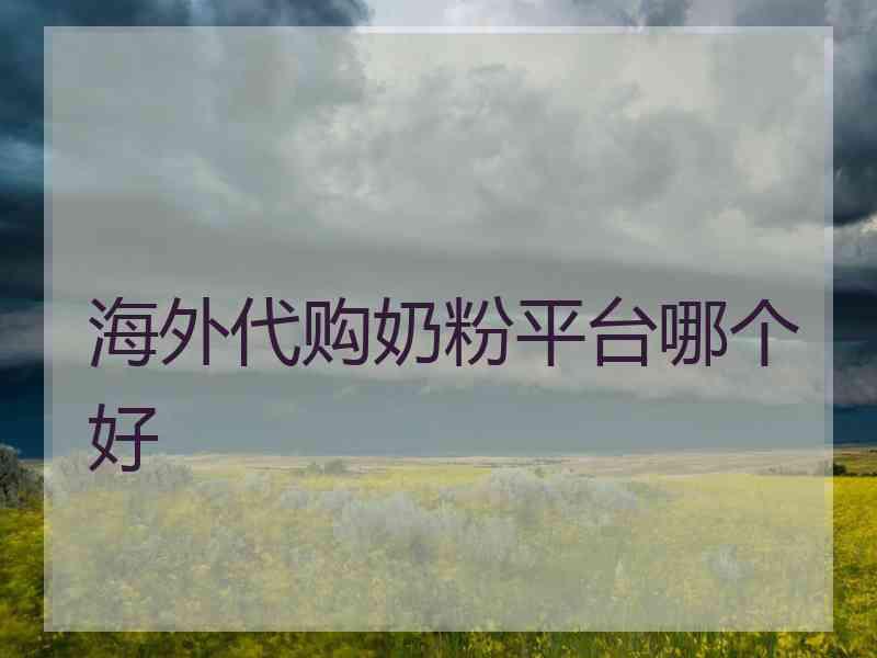 海外代购奶粉平台哪个好