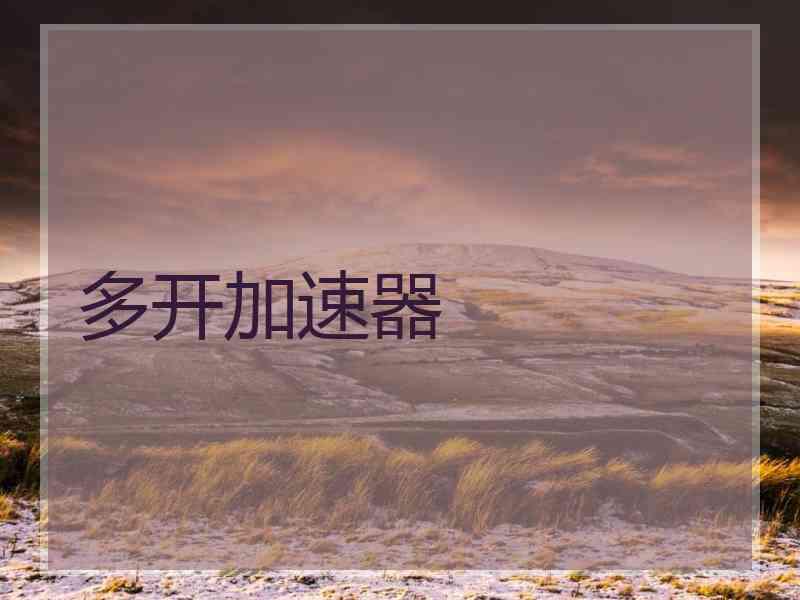 多开加速器