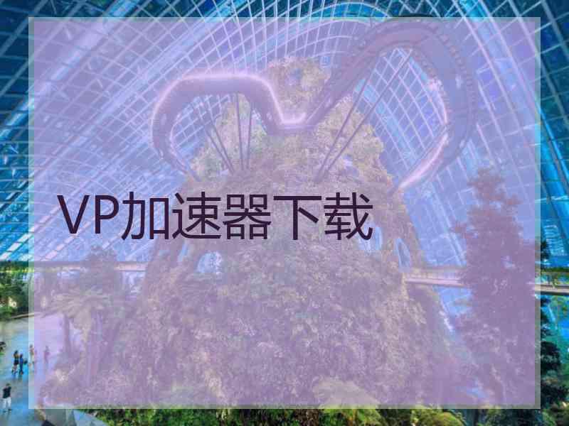 VP加速器下载