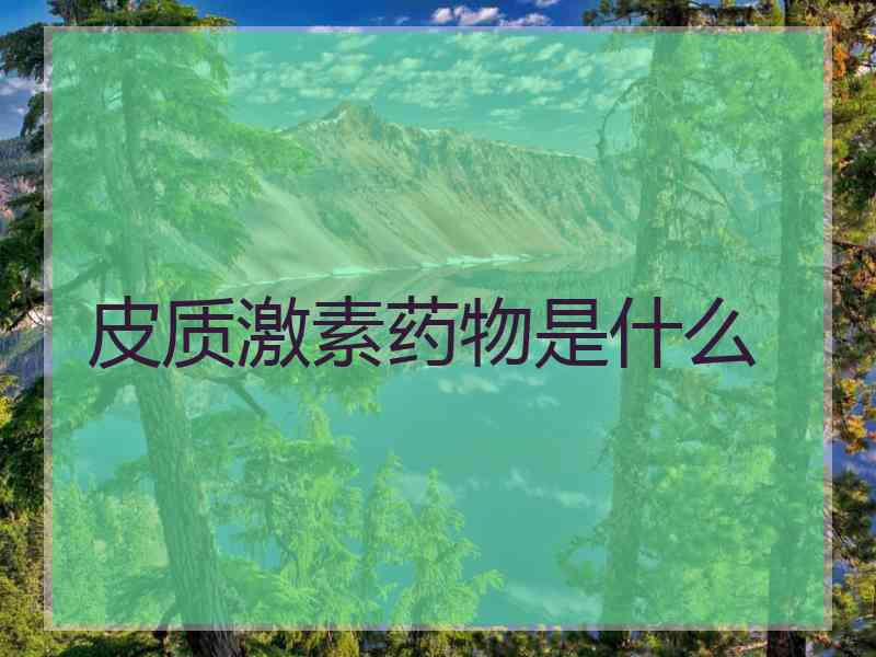 皮质激素药物是什么