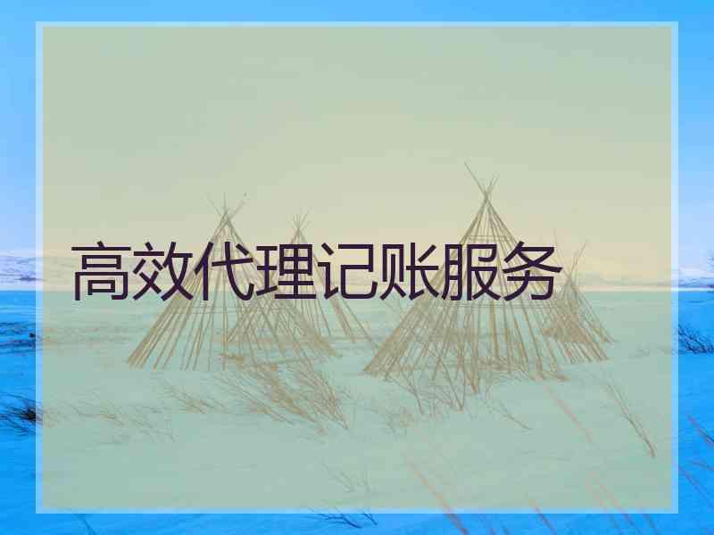 高效代理记账服务