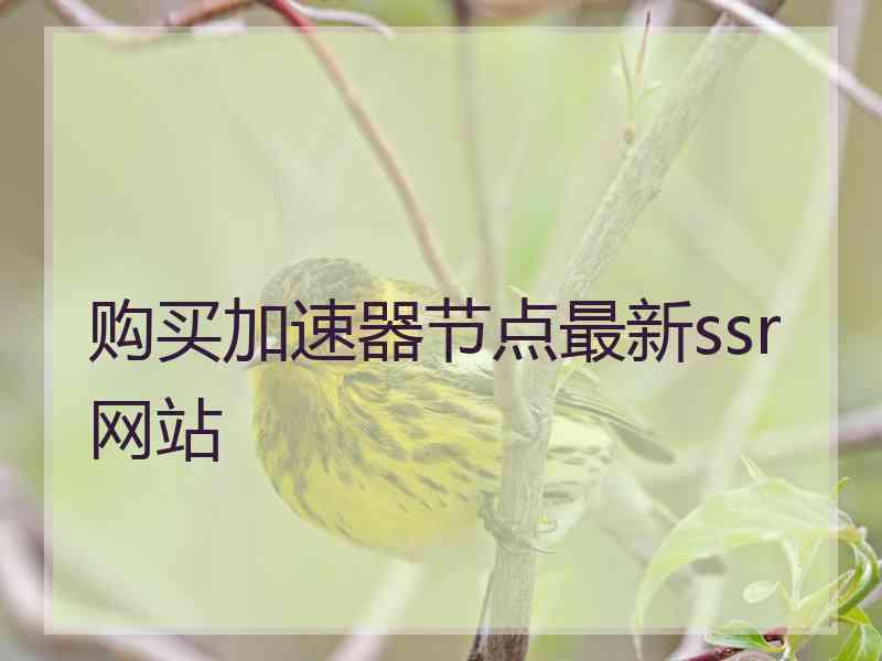 购买加速器节点最新ssr网站