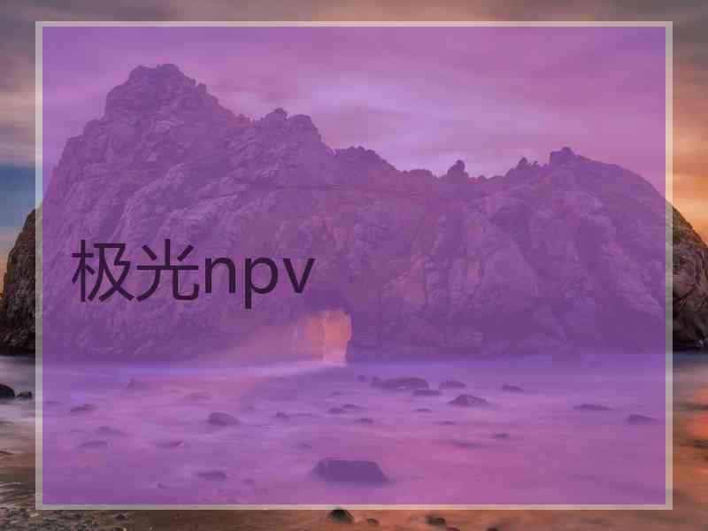 极光npv