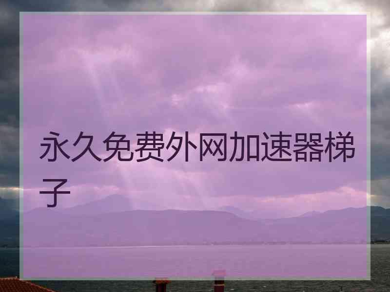 永久免费外网加速器梯子