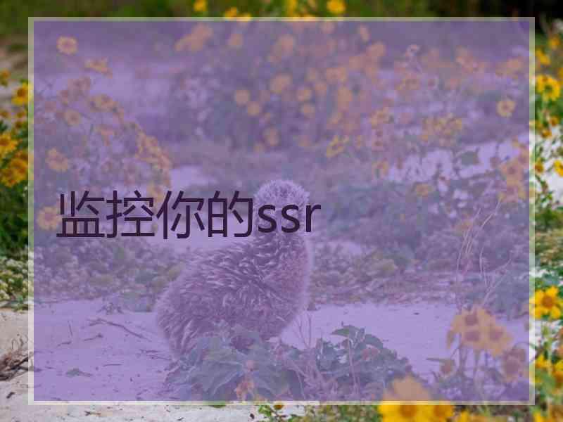 监控你的ssr