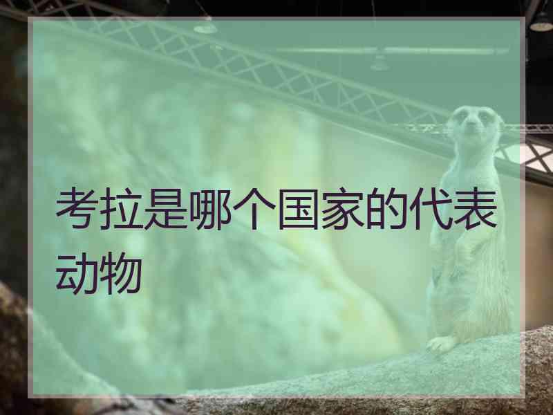 考拉是哪个国家的代表动物